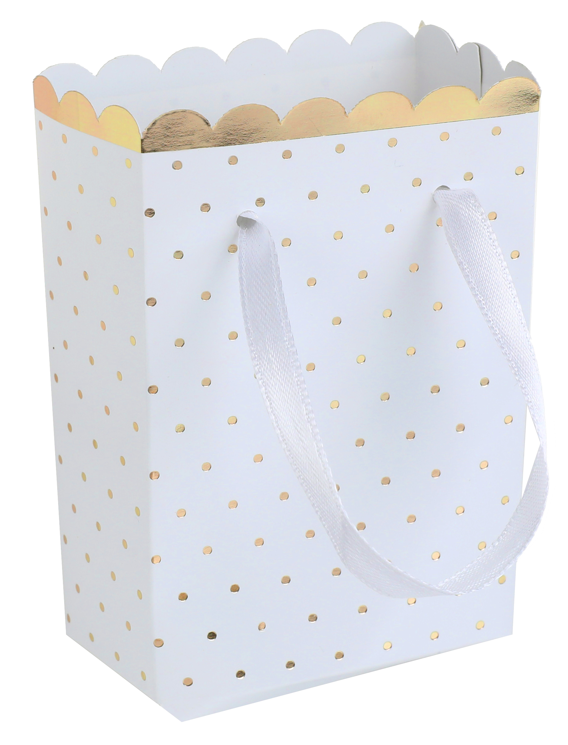 6 SACHETS PASSE PARTOUT BLANC