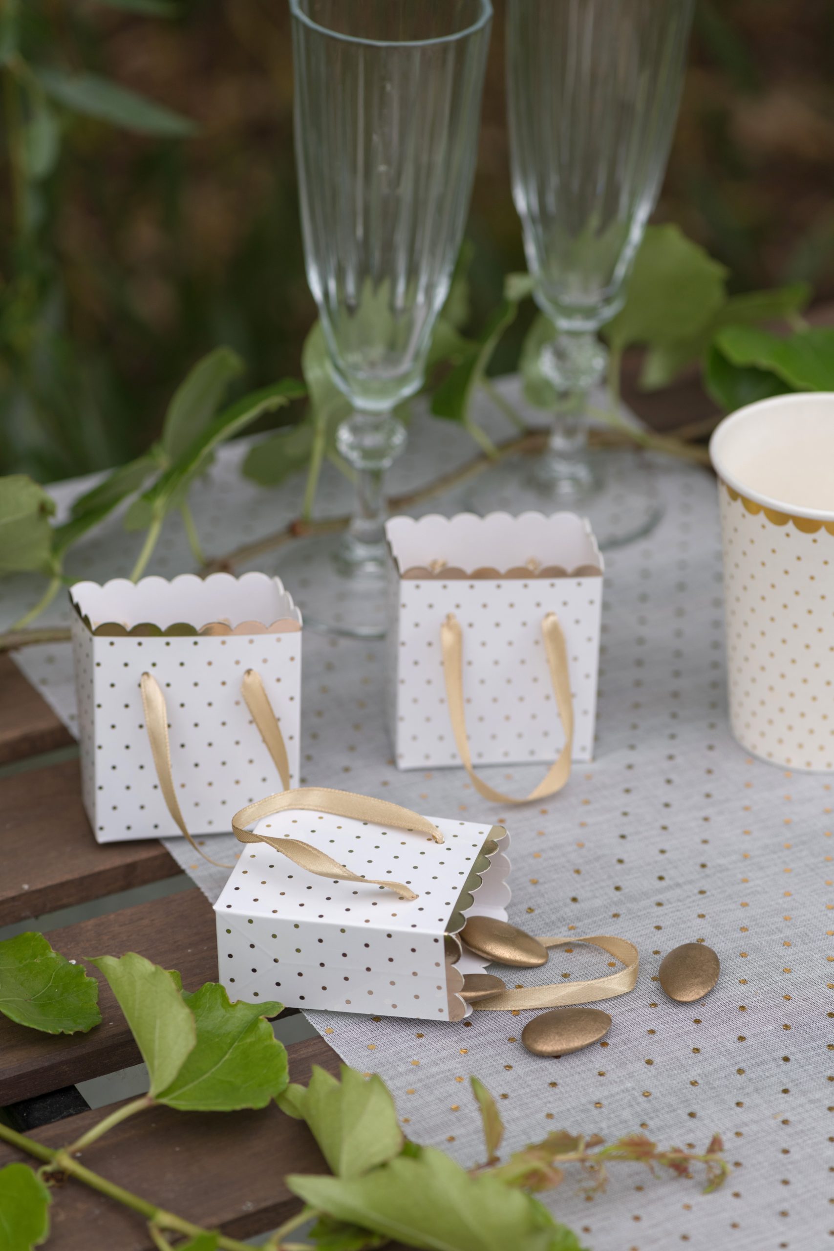 6 SACHETS PASSE PARTOUT BLANC – Image 3