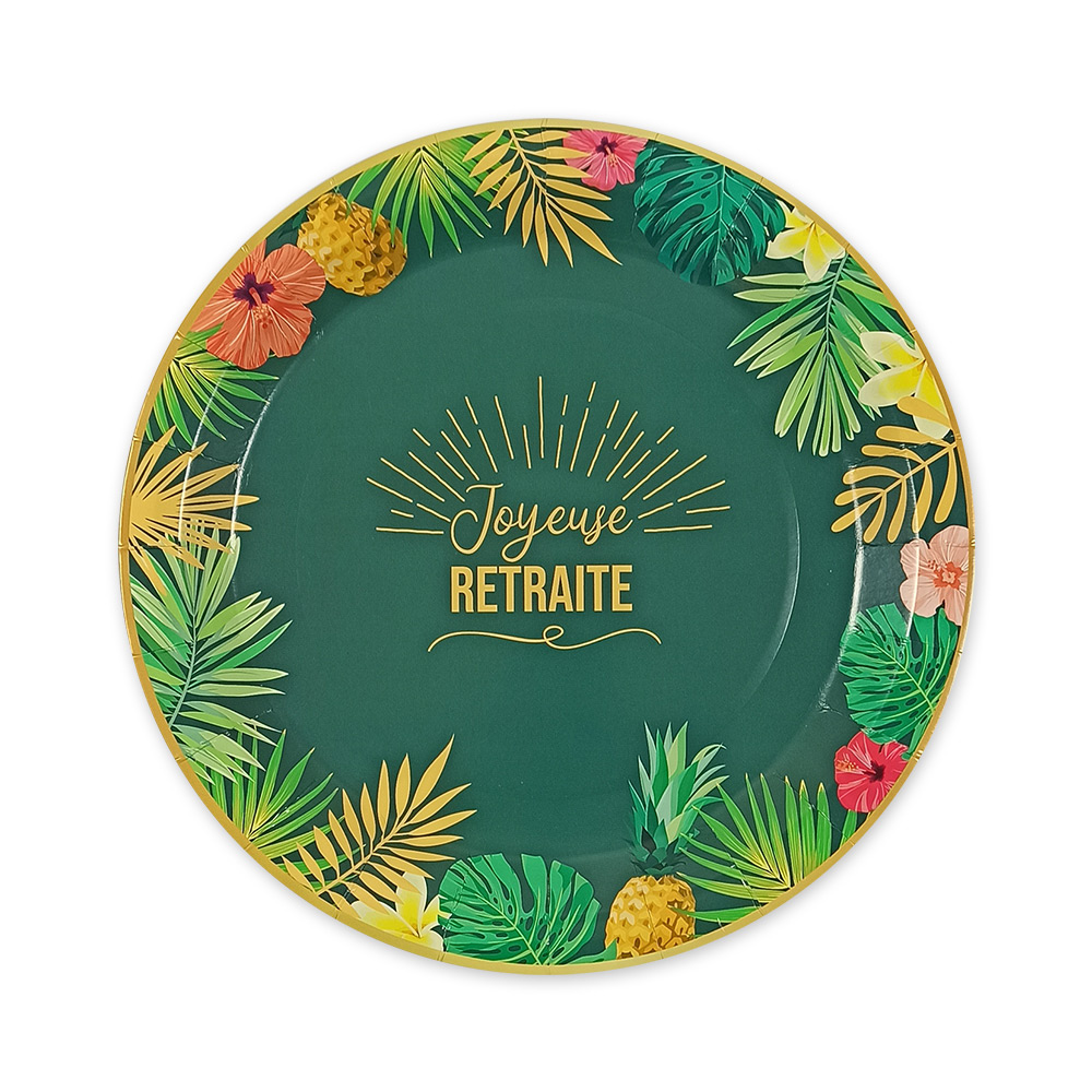 6 ASSIETTES "RETRAITE"