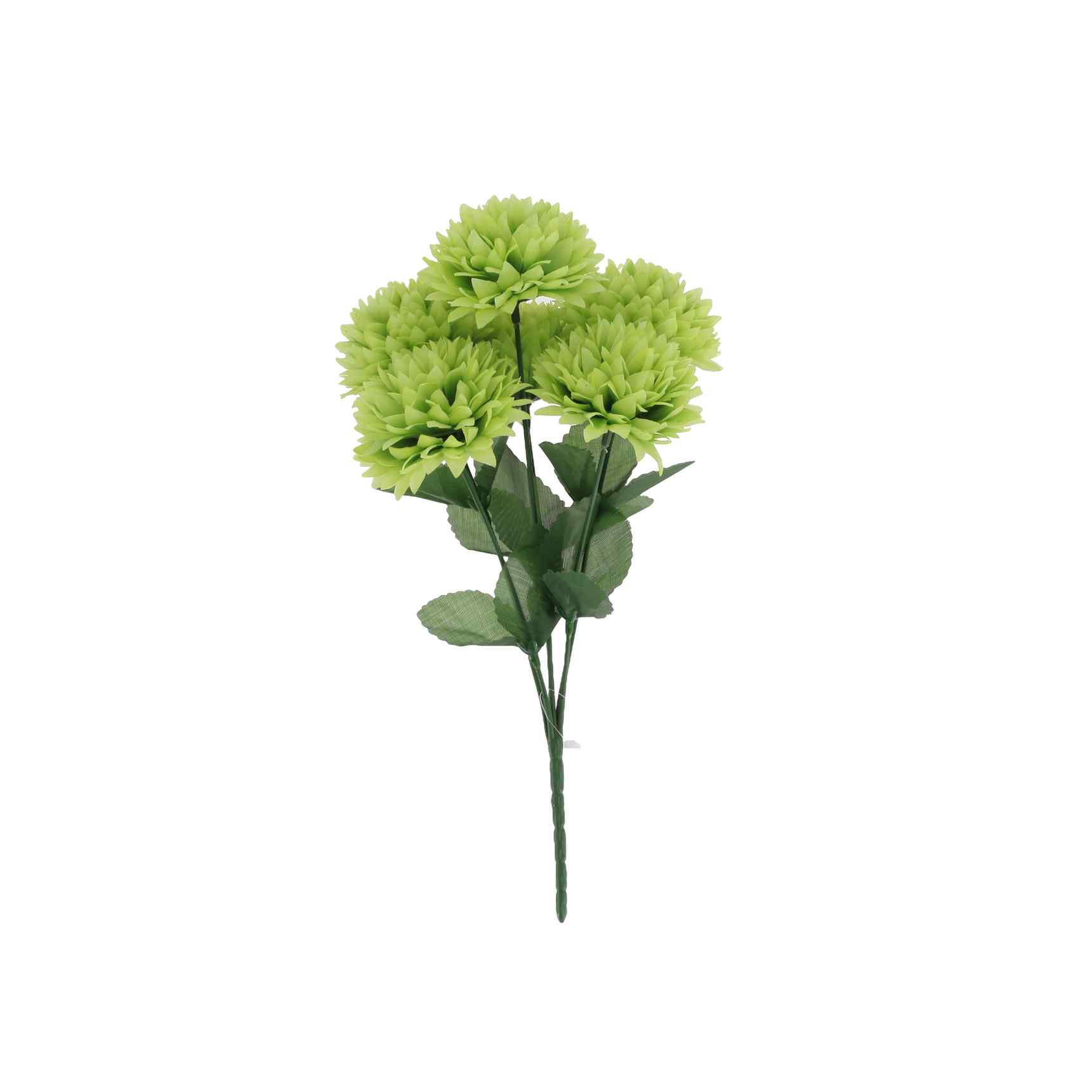 BOUQUET DE DAHLIAS VERT