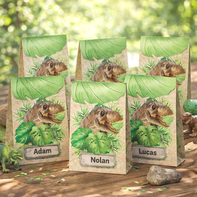 6 sachets dinosaure